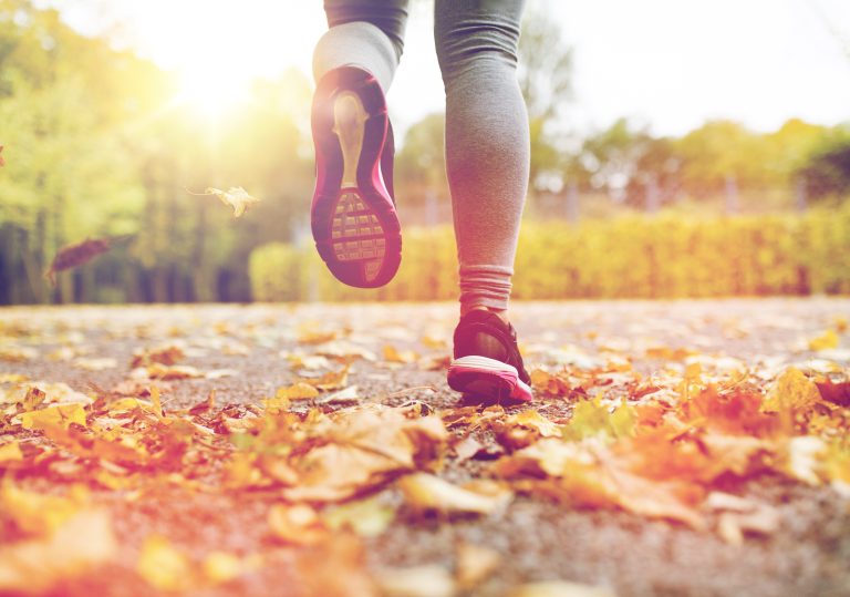 Fit durch den Herbst in der Sporthalle Wien